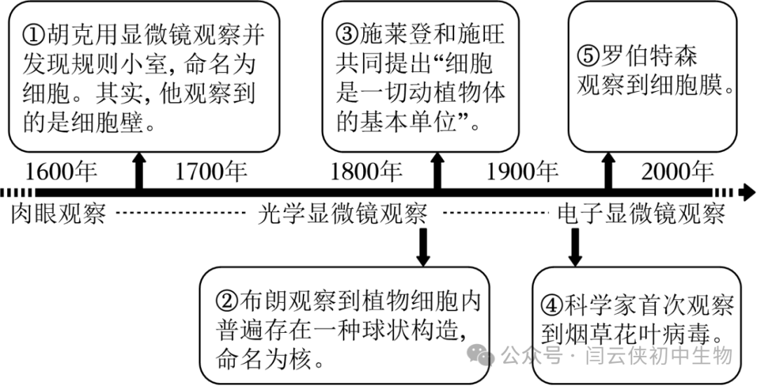 中考真题:2023年福建省中考生物试卷(后附答案) 第8张 中考真题:2023年福建省中考生物试卷(后附答案) 第8张