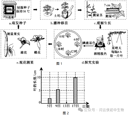 中考真题:2023年福建省中考生物试卷(后附答案) 第12张 中考真题:2023年福建省中考生物试卷(后附答案) 第12张