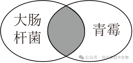 中考真题:2023年福建省中考生物试卷(后附答案) 第5张 中考真题:2023年福建省中考生物试卷(后附答案) 第5张