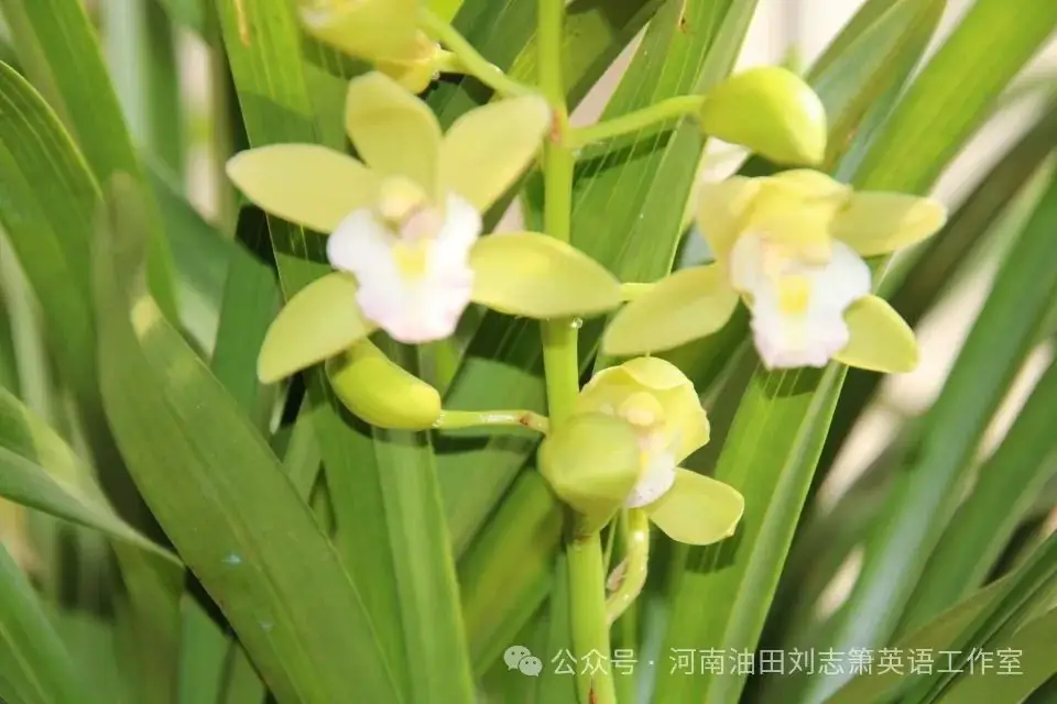 【中考真题】近4年全国各地360套中考英语试题 第1张 【中考真题】近4年全国各地360套中考英语试题 第1张