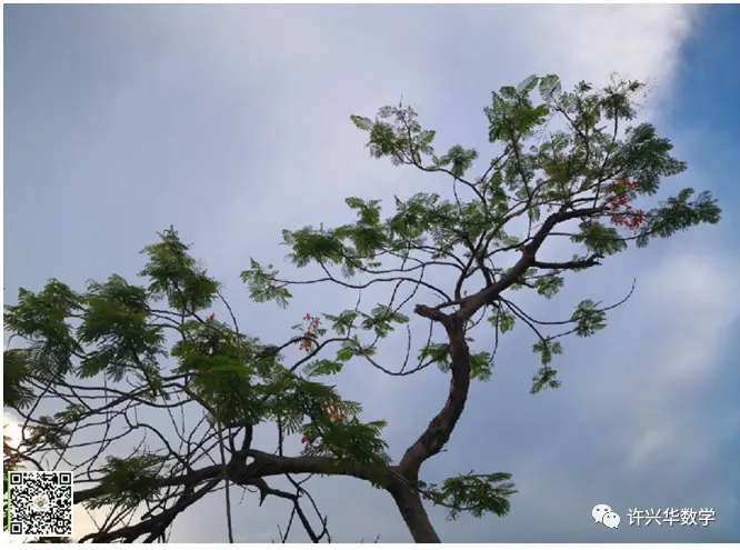 【中考数学】最新的轴对称问题选择题 第14张 【中考数学】最新的轴对称问题选择题 第14张