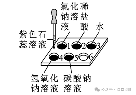 初中化学中考专题复习:实验题 第8张 初中化学中考专题复习:实验题 第8张