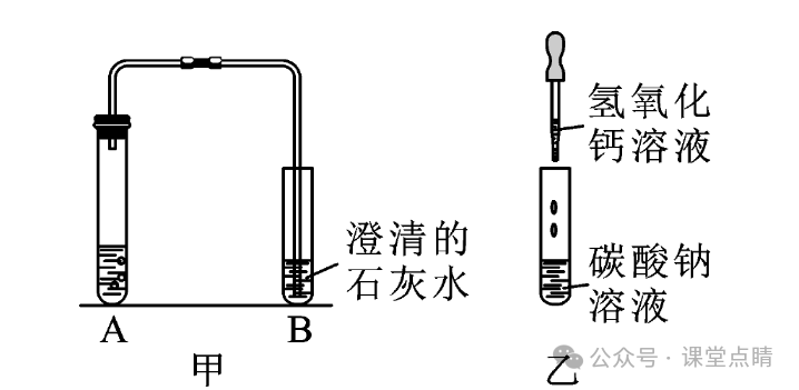 初中化学中考专题复习:实验题 第11张 初中化学中考专题复习:实验题 第11张