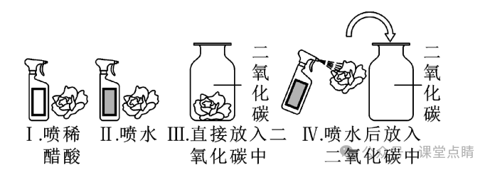 初中化学中考专题复习:实验题 第6张 初中化学中考专题复习:实验题 第6张