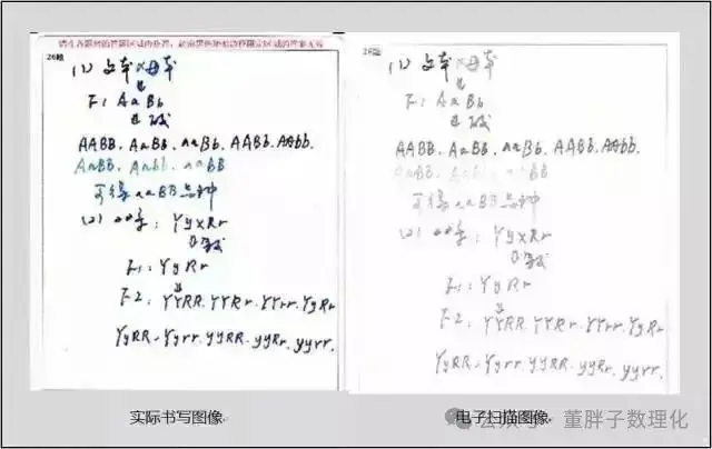 中考试卷扫描后啥样?卷面抓住一个要点就能少扣20分! 第2张