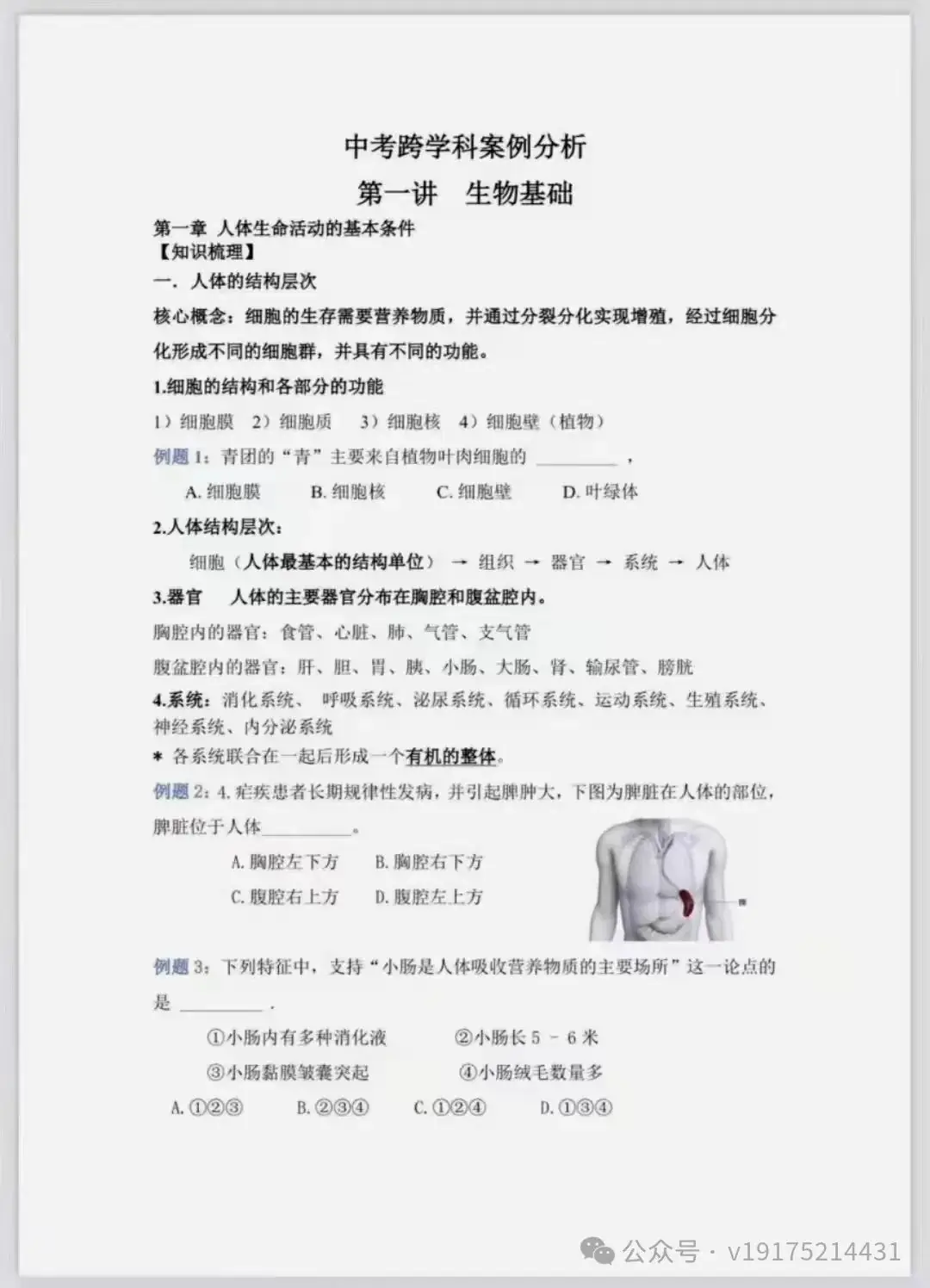 2023上海中考冲刺【跨学科】 第3张 2023上海中考冲刺【跨学科】 第3张