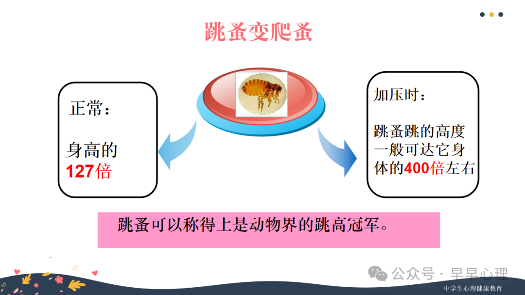 中考心理调适讲座(更新版):笑傲中考我能行(新增1个游戏,3个视频) 第24张 中考心理调适讲座(更新版):笑傲中考我能行(新增1个游戏,3个视频) 第24张
