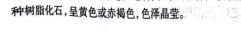 中考语文 | 2024河北省各地区一模卷含答案(共4套)-第5张图片-四季读书网