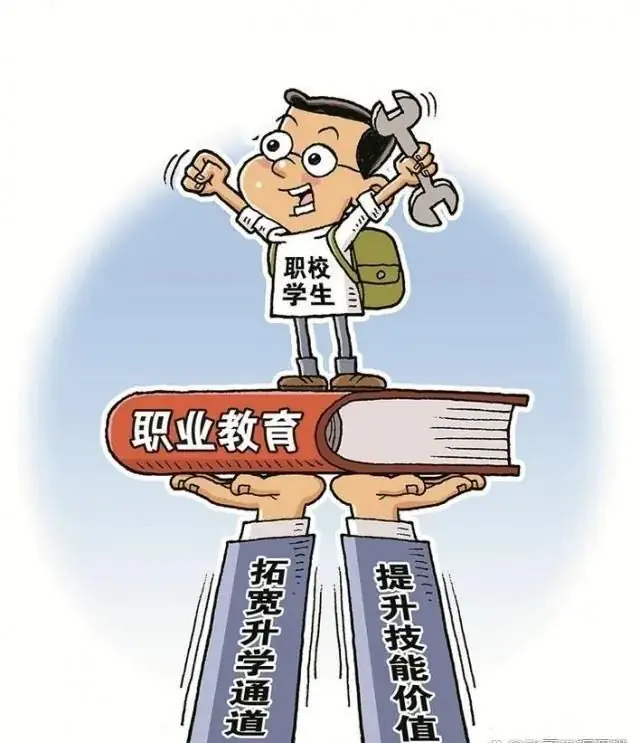 中考改革|五五分流政策的合理性-第4张图片-四季读书网