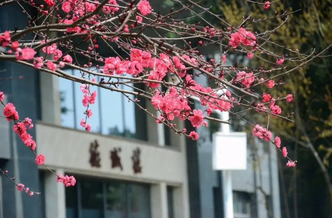 距离高考还剩:30天-第13张图片-四季读书网 距离高考还剩:30天-第13张图片-四季读书网