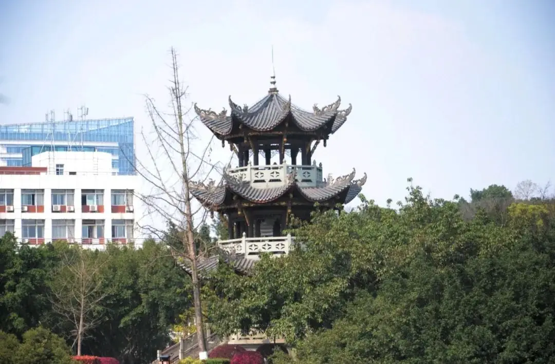 距离高考还剩:30天-第19张图片-四季读书网 距离高考还剩:30天-第19张图片-四季读书网