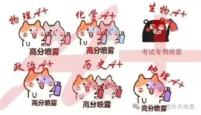高考 | 2024年上海等级考第一天:化学写不完?政治不考党?到底谁在说物理简单?!-第21张图片-四季读书网