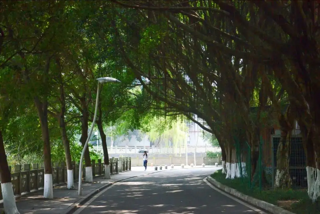 距离高考还剩:30天-第18张图片-四季读书网 距离高考还剩:30天-第18张图片-四季读书网
