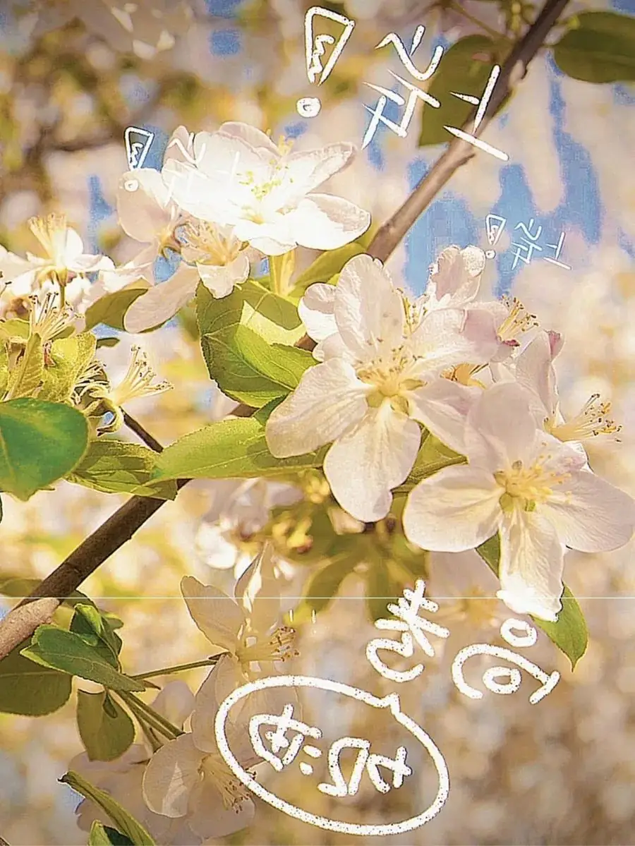 高考倒计时30天 | 锋芒毕露,静待风来!-第11张图片-四季读书网 高考倒计时30天 | 锋芒毕露,静待风来!-第11张图片-四季读书网