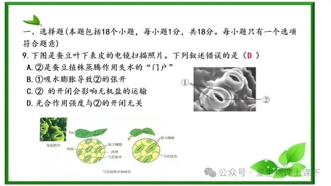 2023中考真题讲解----淄博2023选择题7-12-第9张图片-四季读书网