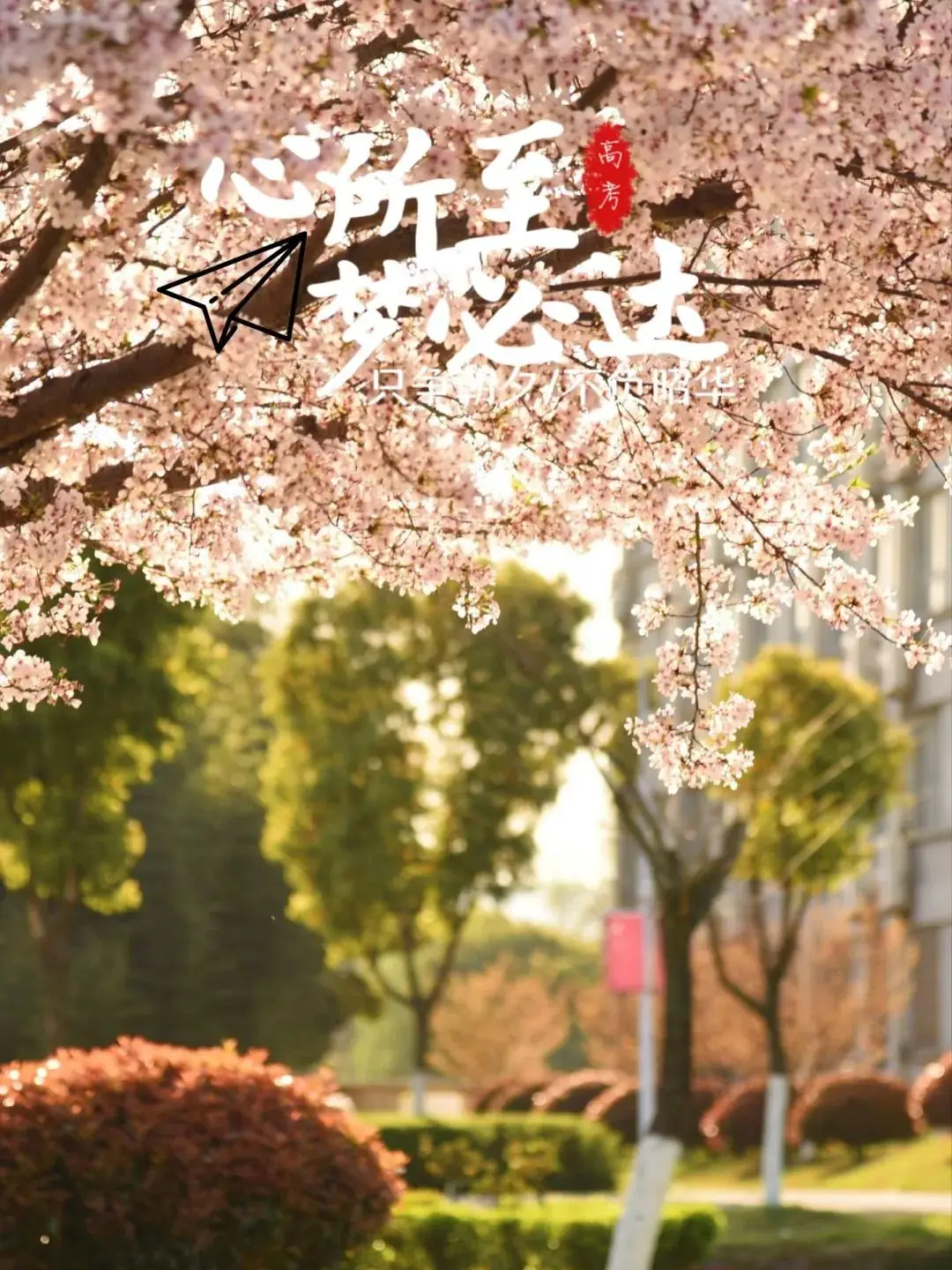 高考倒计时30天 | 锋芒毕露,静待风来!-第15张图片-四季读书网 高考倒计时30天 | 锋芒毕露,静待风来!-第15张图片-四季读书网