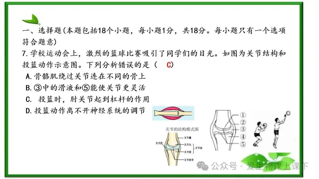 2023中考真题讲解----淄博2023选择题7-12-第7张图片-四季读书网