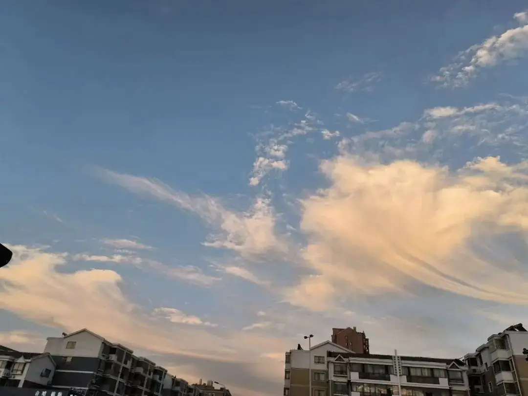 高考倒计时30天 | 锋芒毕露,静待风来!-第21张图片-四季读书网 高考倒计时30天 | 锋芒毕露,静待风来!-第21张图片-四季读书网
