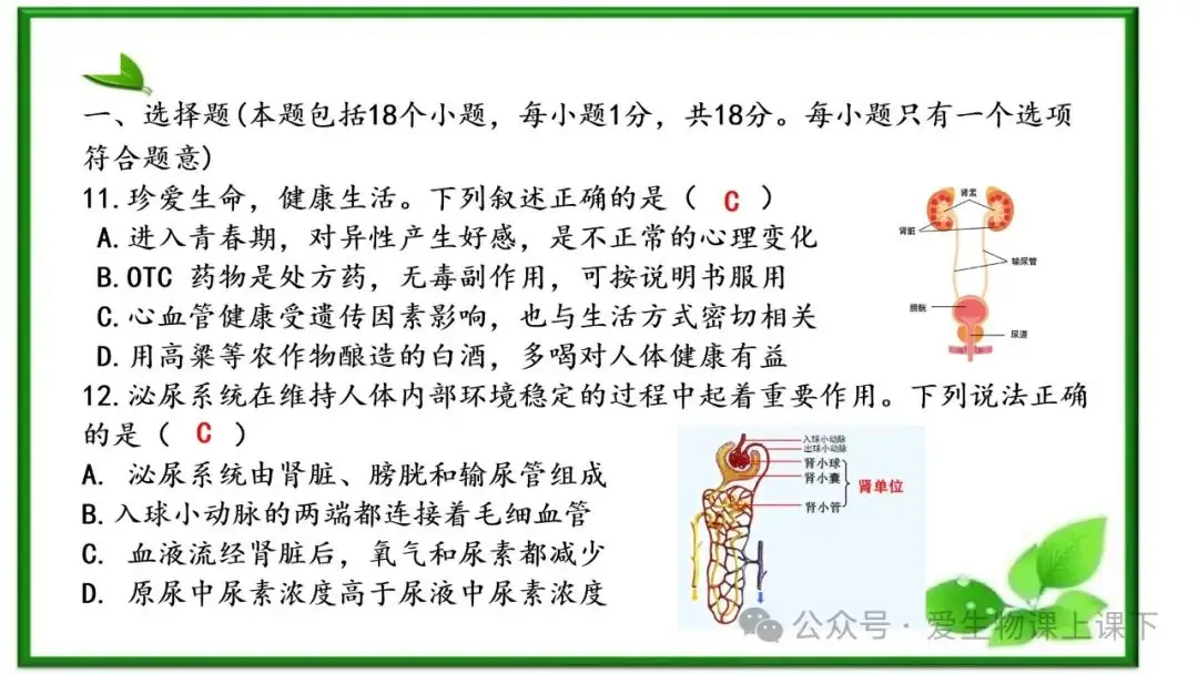 2023中考真题讲解----淄博2023选择题7-12-第11张图片-四季读书网
