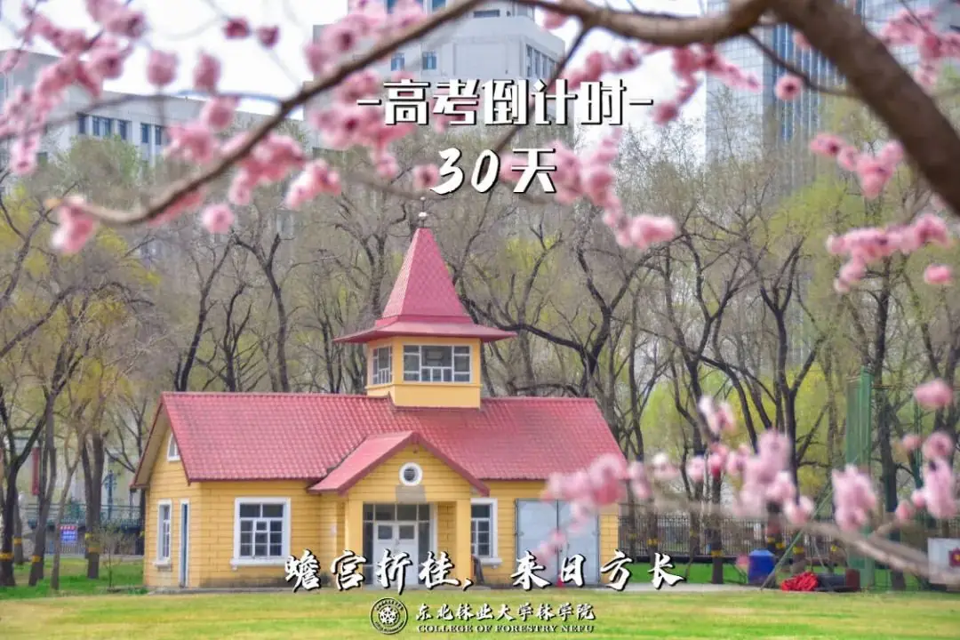 高考倒计时30天,我们在东林等你 第2张