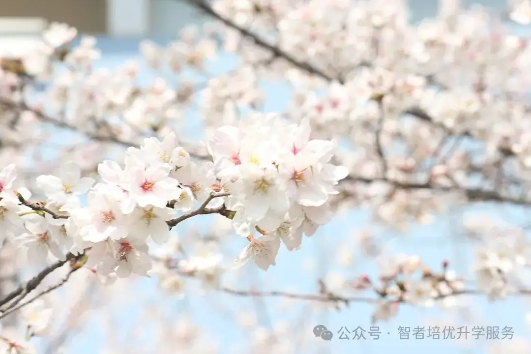 高考倒计时一个月,以下两点最重要 第5张 高考倒计时一个月,以下两点最重要 第5张