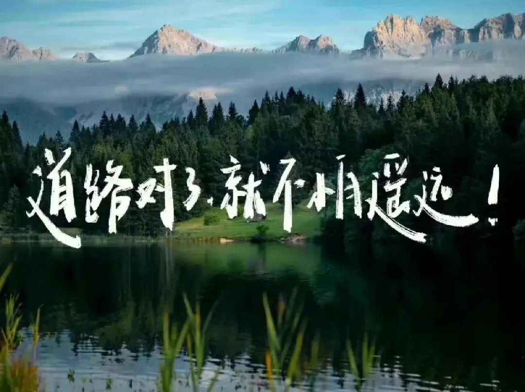 高考和模考到底能差多少分?-第9张图片-四季读书网
