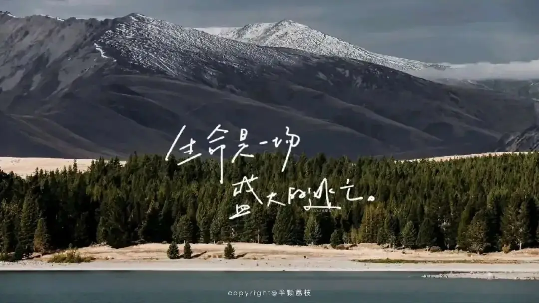 高考和模考到底能差多少分?-第2张图片-四季读书网