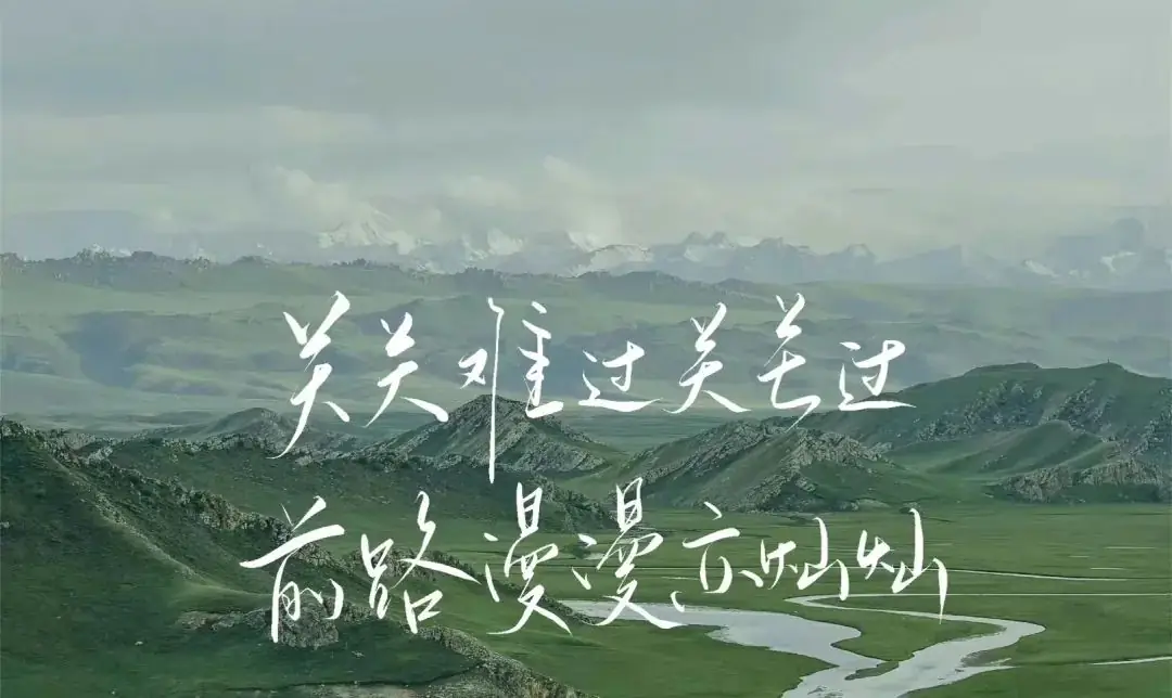 高考红线,触线必死-第1张图片-四季读书网