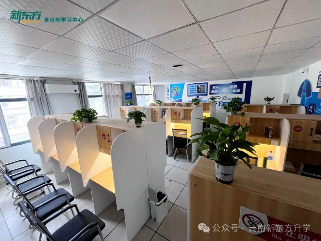 【招生简章】云南新东方2025届高考封闭冲刺招生简章,全省限招300人!-第9张图片-四季读书网