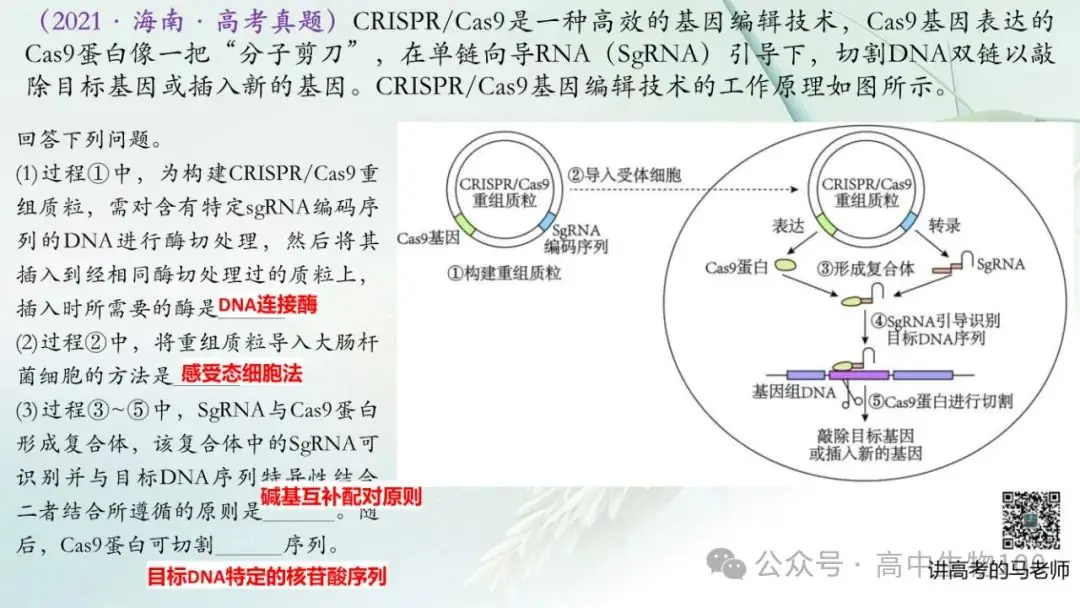 讲高考寻规律11:CRISPR/Cas9基因组编辑技术-第14张图片-四季读书网