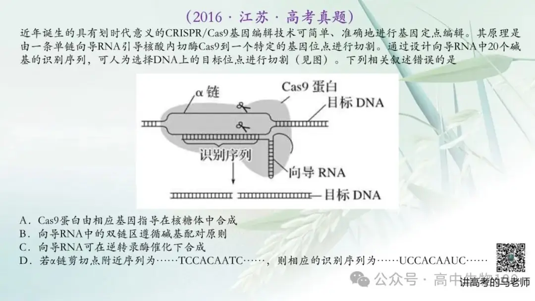 讲高考寻规律11:CRISPR/Cas9基因组编辑技术-第13张图片-四季读书网