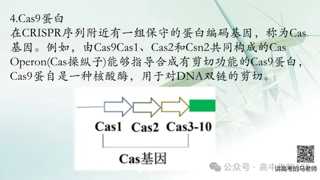 讲高考寻规律11:CRISPR/Cas9基因组编辑技术-第9张图片-四季读书网