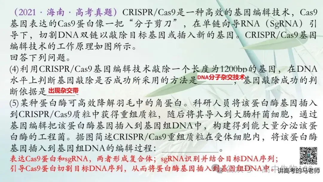 讲高考寻规律11:CRISPR/Cas9基因组编辑技术-第15张图片-四季读书网