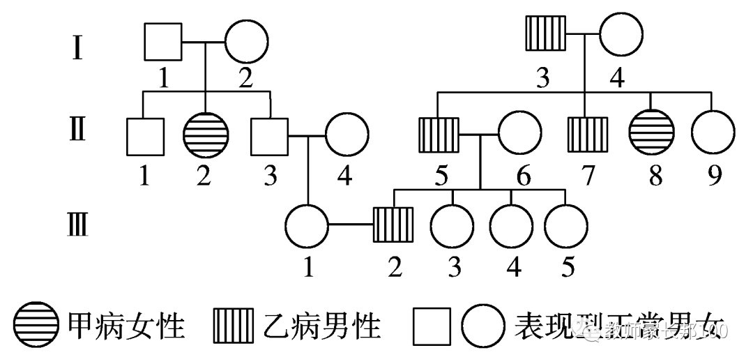 高考生物 | 遗传家族图谱和遗传实验快速解题技巧-第4张图片-四季读书网