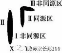 高考生物 | 遗传家族图谱和遗传实验快速解题技巧-第8张图片-四季读书网