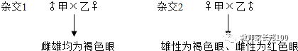 高考生物 | 遗传家族图谱和遗传实验快速解题技巧-第10张图片-四季读书网