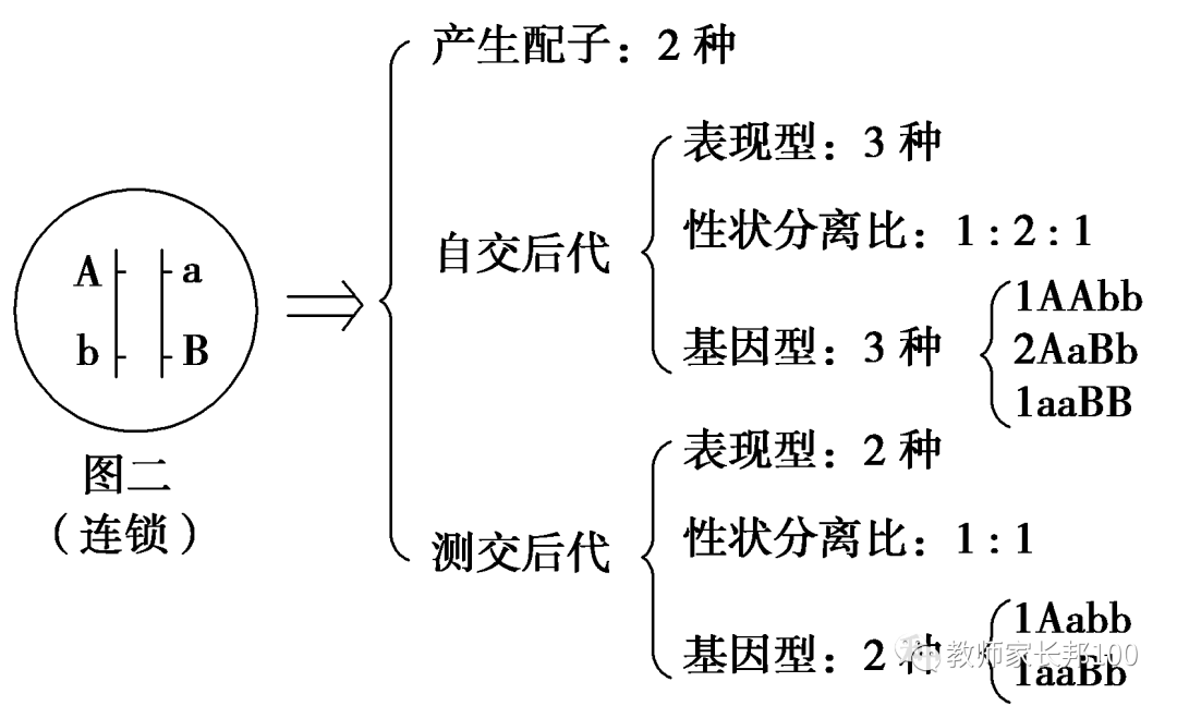 高考生物 | 遗传家族图谱和遗传实验快速解题技巧-第11张图片-四季读书网
