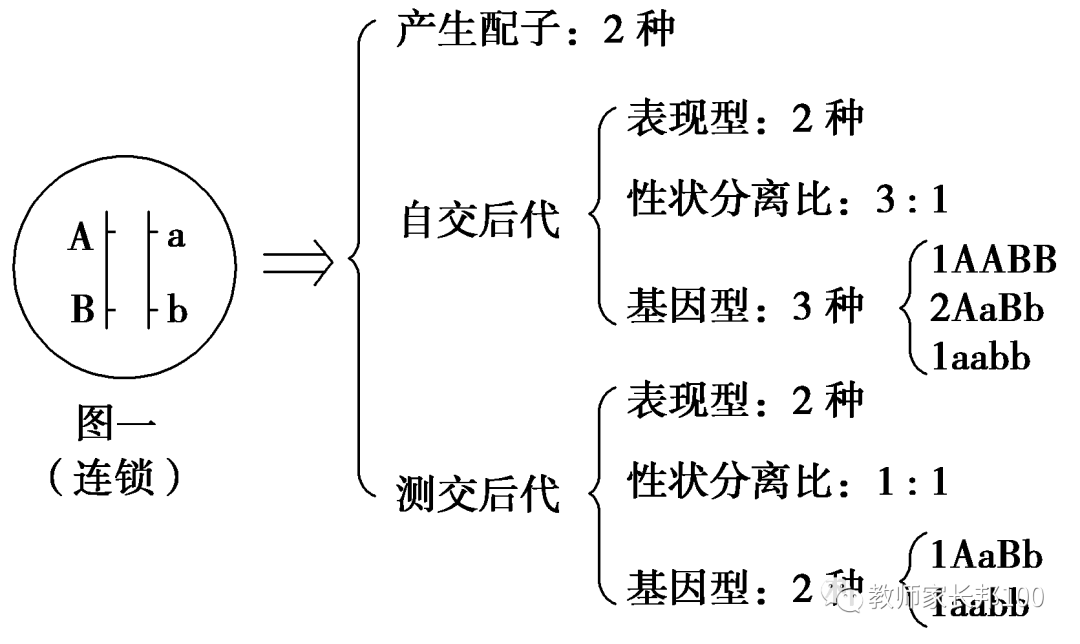 高考生物 | 遗传家族图谱和遗传实验快速解题技巧-第12张图片-四季读书网