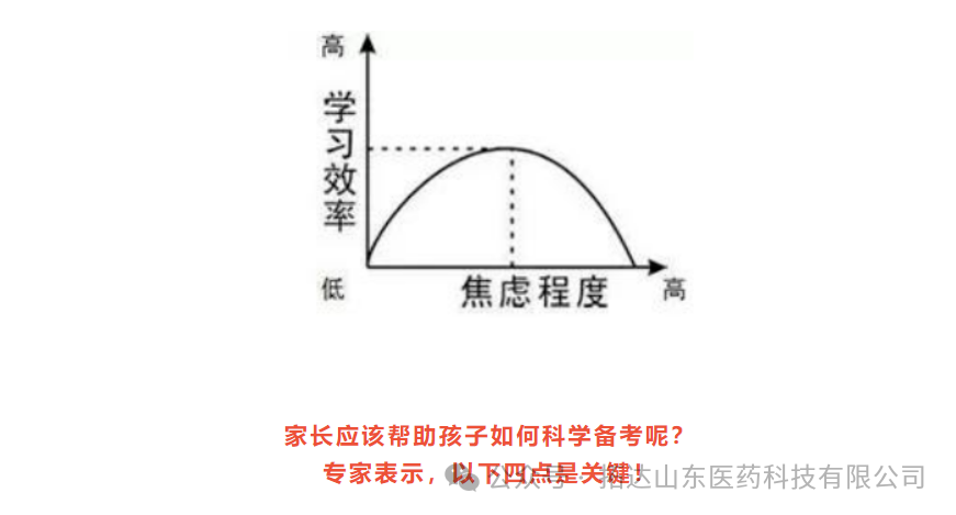 高考压力大,薄盖灵芝安神助睡眠,让高考学子元气满满冲刺目标!-第2张图片-四季读书网 高考压力大,薄盖灵芝安神助睡眠,让高考学子元气满满冲刺目标!-第2张图片-四季读书网