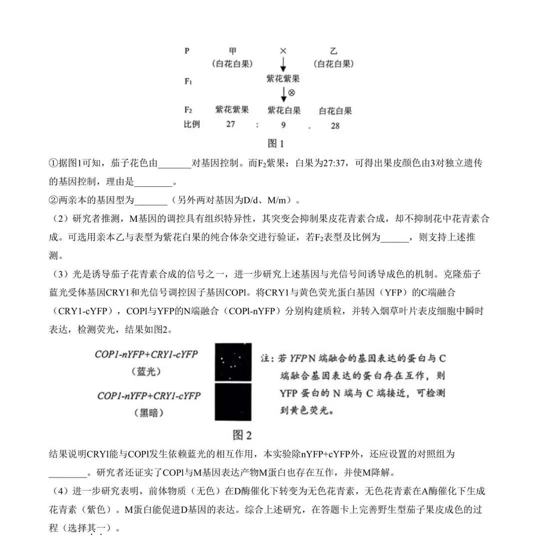 高考倒计时25天!没考好也别灰心,你不知道自己有多优秀!-第2张图片-四季读书网 高考倒计时25天!没考好也别灰心,你不知道自己有多优秀!-第2张图片-四季读书网