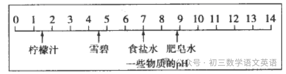 2024中考化学复习 | 真题训练【酸、碱、盐】热点题型,有答案-第2张图片-四季读书网