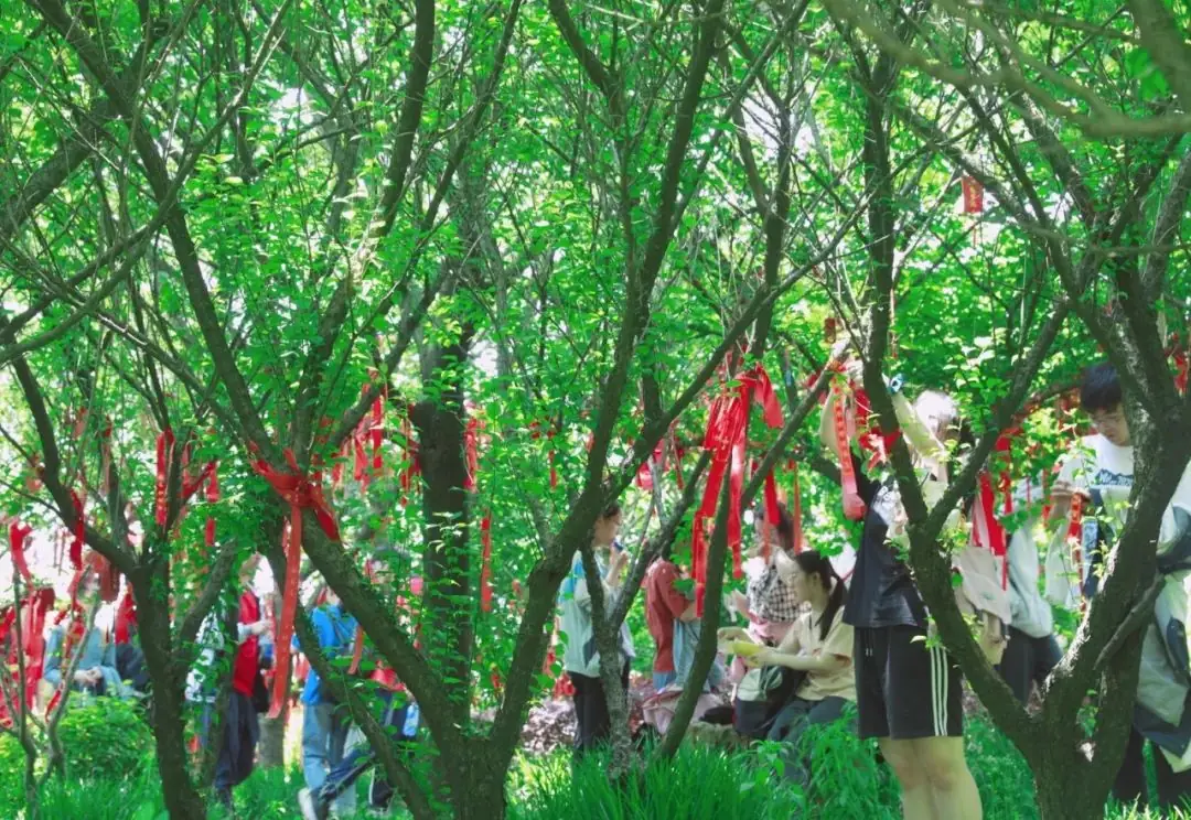 高考倒计时30日 | 穹窿山登峰筑梦 育英园攀高摘实 第31张 高考倒计时30日 | 穹窿山登峰筑梦 育英园攀高摘实 第31张