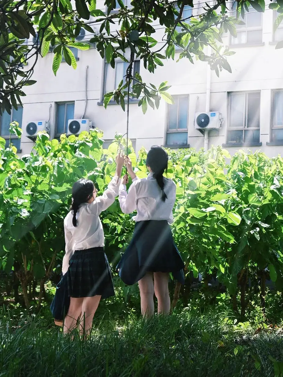 高考倒计时30日 | 穹窿山登峰筑梦 育英园攀高摘实 第58张 高考倒计时30日 | 穹窿山登峰筑梦 育英园攀高摘实 第58张