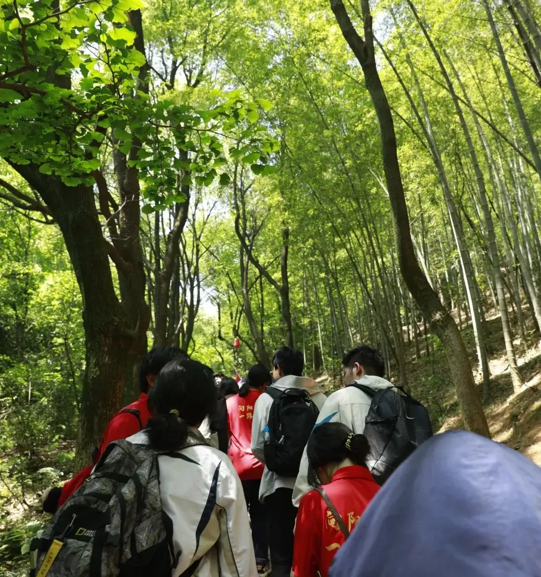 高考倒计时30日 | 穹窿山登峰筑梦 育英园攀高摘实 第15张 高考倒计时30日 | 穹窿山登峰筑梦 育英园攀高摘实 第15张