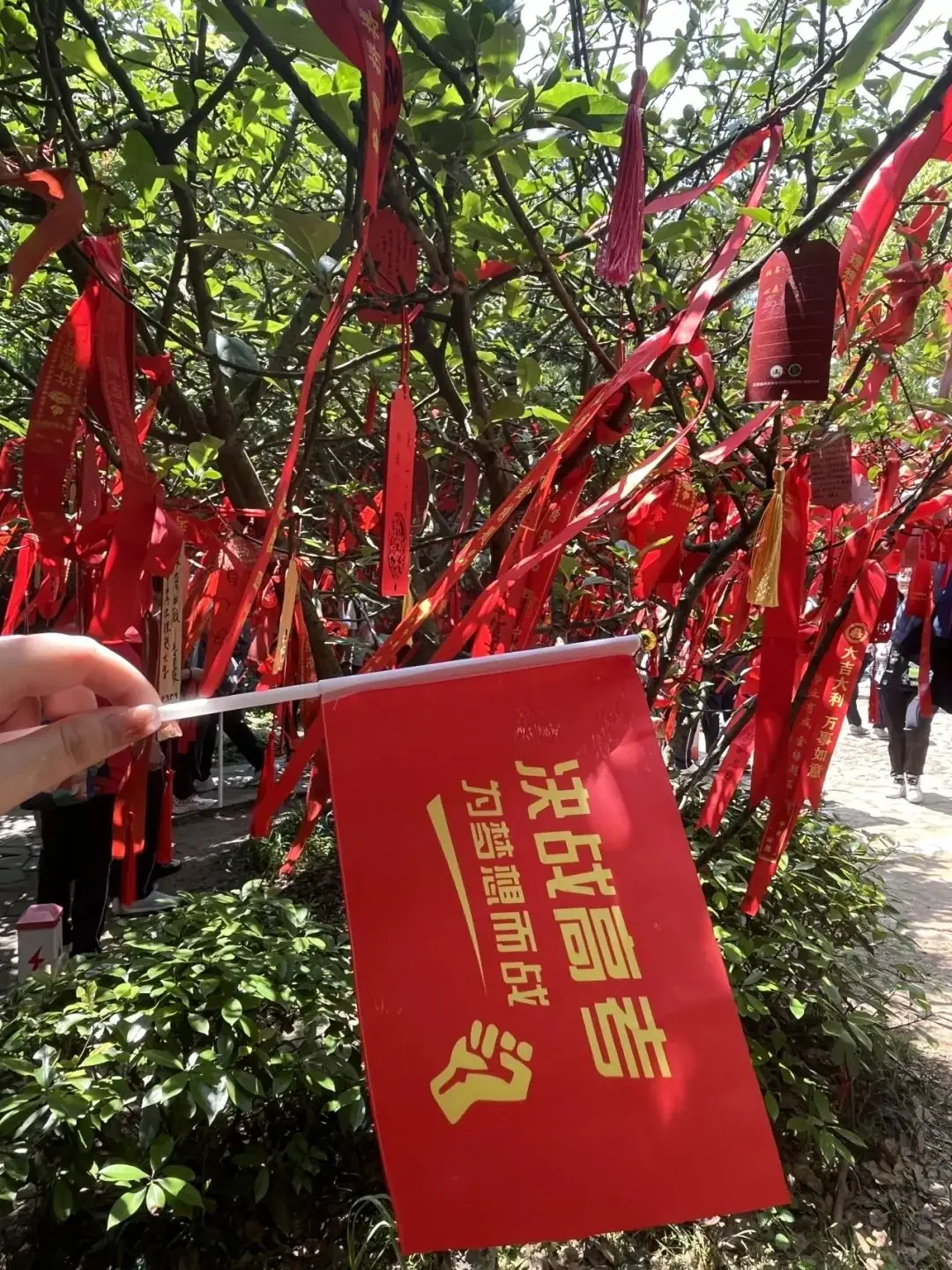 高考倒计时30日 | 穹窿山登峰筑梦 育英园攀高摘实 第30张 高考倒计时30日 | 穹窿山登峰筑梦 育英园攀高摘实 第30张