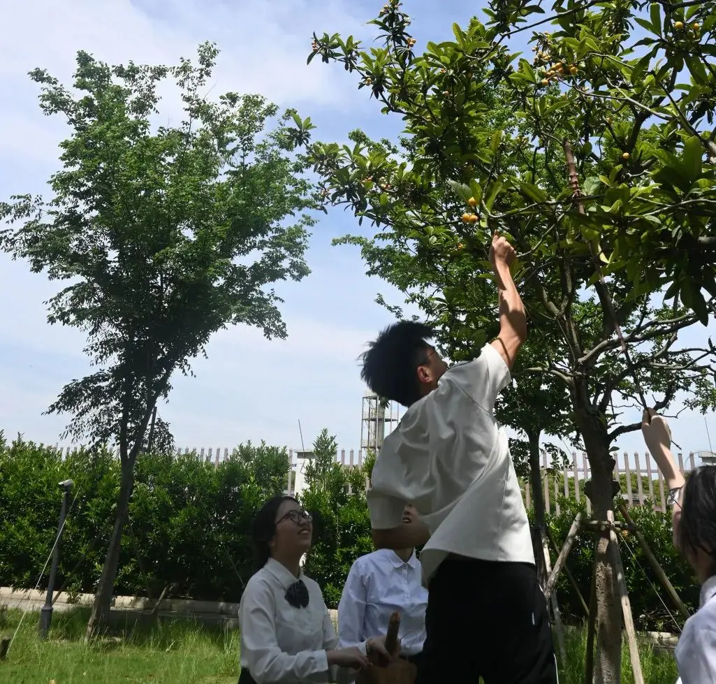 高考倒计时30日 | 穹窿山登峰筑梦 育英园攀高摘实 第57张 高考倒计时30日 | 穹窿山登峰筑梦 育英园攀高摘实 第57张