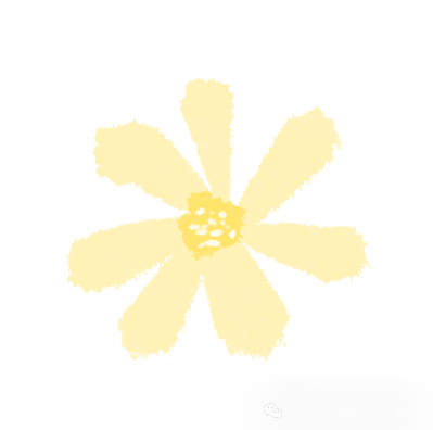 【进校园】乌海市第三中学 学生讲座《中考考前心理调适》-第1张图片-四季读书网
