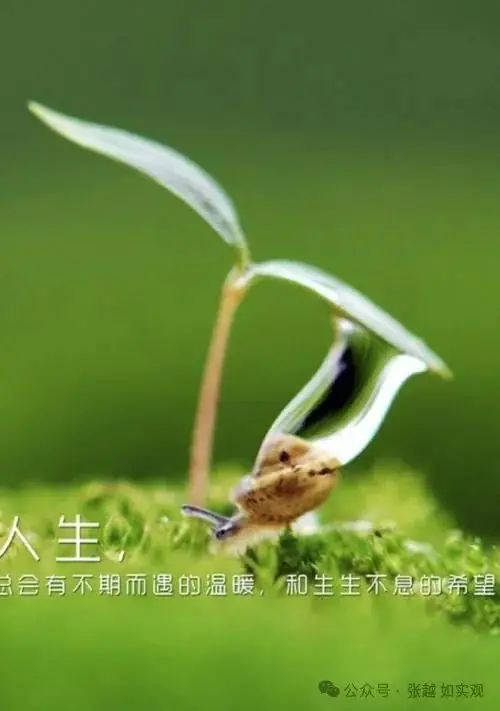 高考最后这二十天,除了关心吃喝睡还能关心啥?-第2张图片-四季读书网