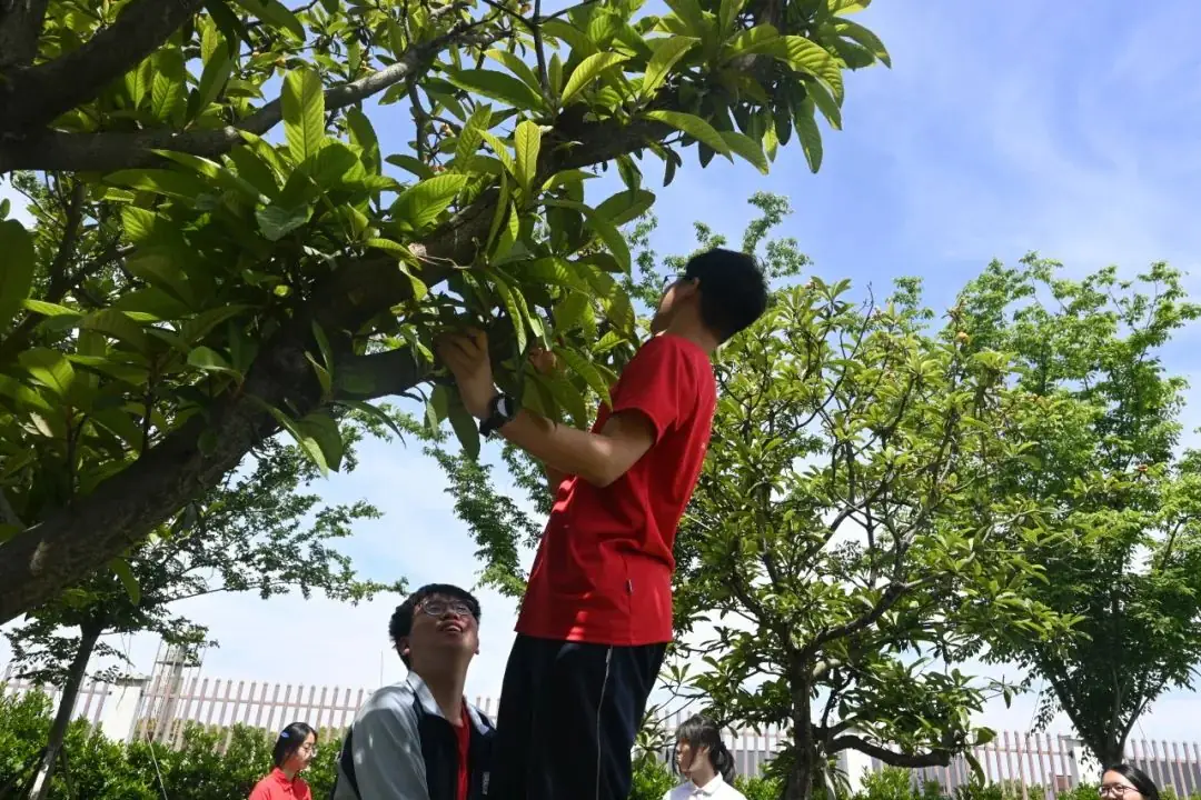 高考倒计时30日 | 穹窿山登峰筑梦 育英园攀高摘实 第56张 高考倒计时30日 | 穹窿山登峰筑梦 育英园攀高摘实 第56张