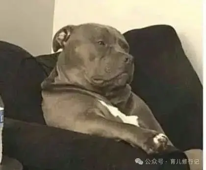 中考倒计时30天,家长还能做点啥?-第2张图片-四季读书网 中考倒计时30天,家长还能做点啥?-第2张图片-四季读书网